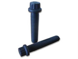 12 point flange screws