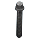 12 point flange screws 