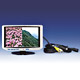 LCD PC Monitors image