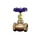 Globe Valve