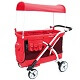 Chariot-Milioo-Wagon-Stroller 