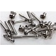 Stainless Steel Screw