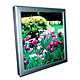 LED Light Boxes