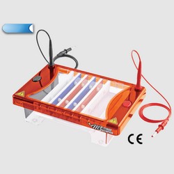 Midi-plus-2-Horizontal-Electrophoresis-System 