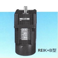 REIK-3-Phase-Induction-Motors