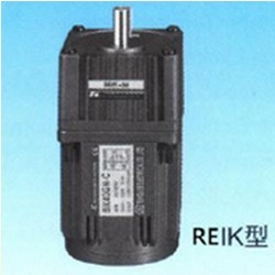 REIK-Single-Phase-Induction-Motors