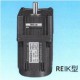 Reik Single Phase Induction Motors