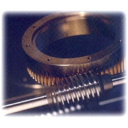 Worm gears shafts