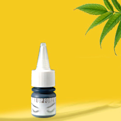 adhesive glue 