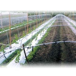 agriculture net