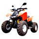 All Terrain Vehicle Manufacturers image
