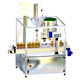 Bottle Capping Machine image