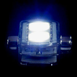 automotive led bulbs