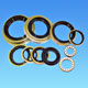 Automotive Oil Seals
