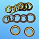 Automotive Oil Seals