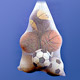 Ball Carrying Bags
