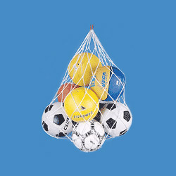 ball carrying net