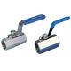 Stainless Ball Valves image