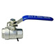 Stainless Steel Ball Valves