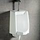 Toilet Bowls & Urinals image