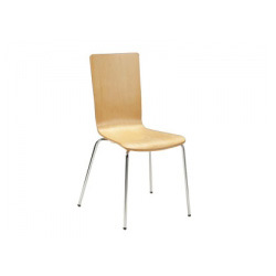 bentwood chair 