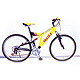 Mountain Bicycles image