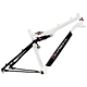 Bicycle Frames (MTB Frames)