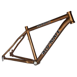 bicycle frame 