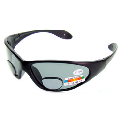 bifocal sunglasses 