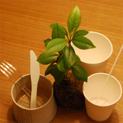 biodegradable and compostable utensil set