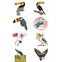 bird sticker