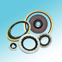 Bonded Seals ( Rubber & Iron Material)