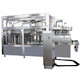 Bottle Washing And Filling And Capping Machines (1000-2000BPH)