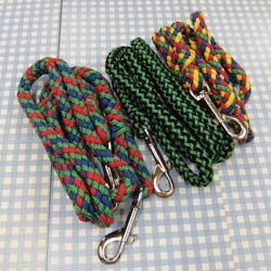 braided cord leash and lead