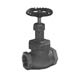 Bronze Globe Valves