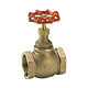 Bronze Globe Valves