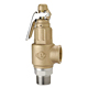 bronze safety relief valve 