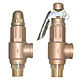 Bronze Check Valves image