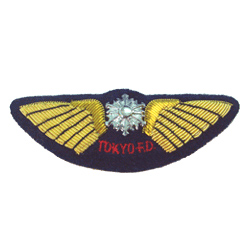 Bullion Wire Badges