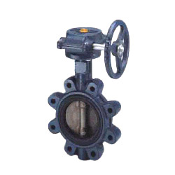 butterfly valve 