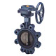 butterfly valve 