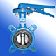 Butterfly Valves (Lug Type)