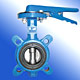 butterfly valve 