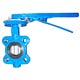 butterfly valve 