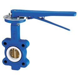 butterfly valve 