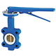 butterfly valve 