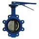 Butterfly Valves