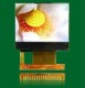 C-STN LCD Modules