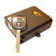Car Security Alarms