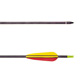 Archery Manufacturers image